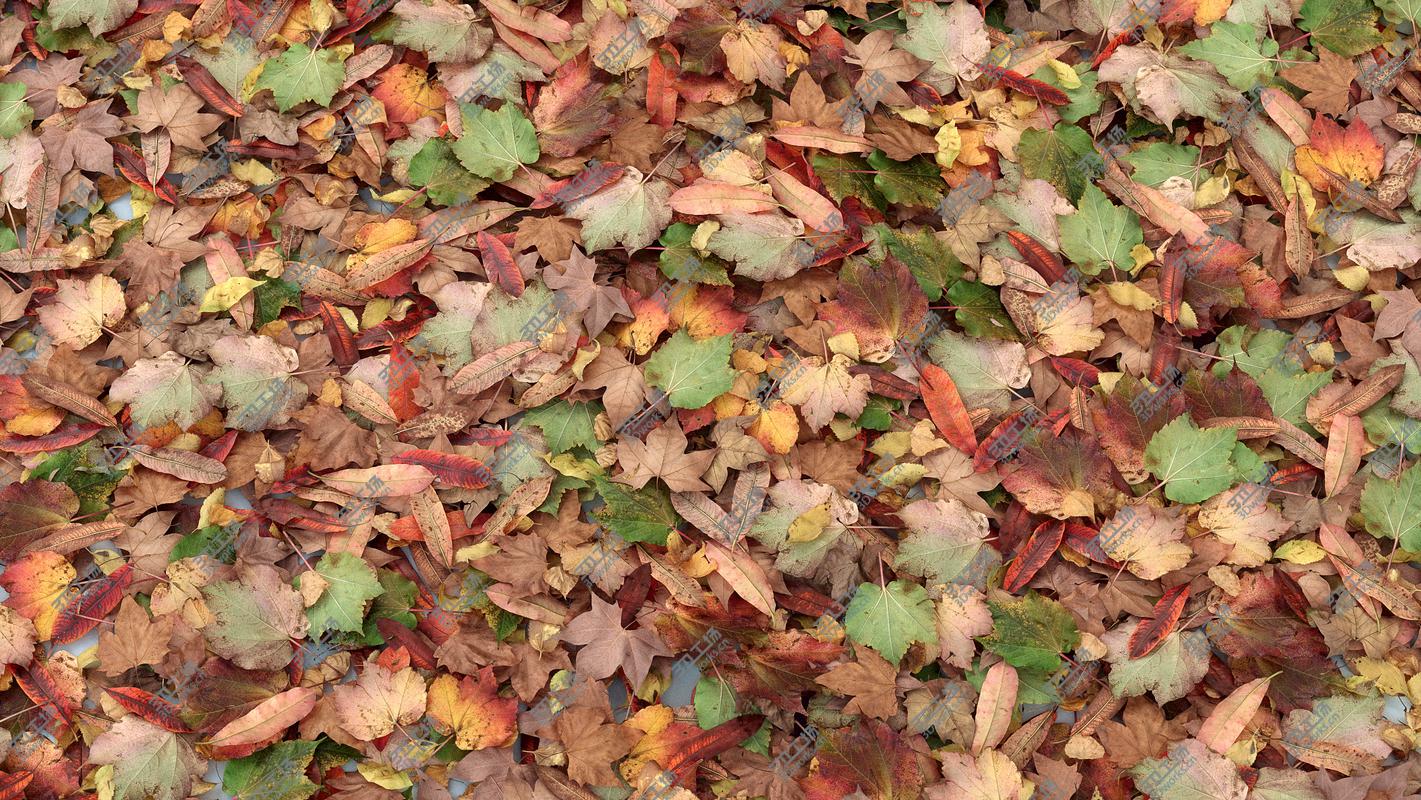 images/goods_img/2021040231/Autumn Leaves 3D model/3.jpg